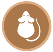 image-171466-icon1.png?1467367374518