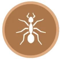 image-171466-icon1.png?1467367374518