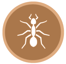 image-171466-icon1.png?1467367374518
