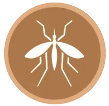 image-171466-icon1.png?1467367374518