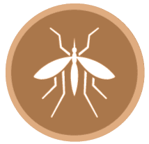 image-171466-icon1.png?1467367374518
