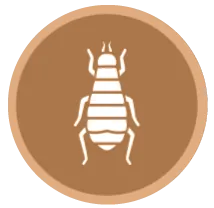 image-171466-icon1.png?1467367374518