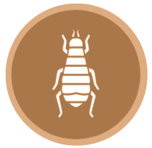 image-171466-icon1.png?1467367374518