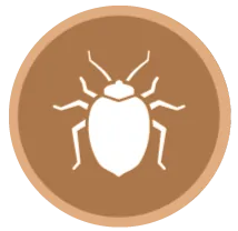 image-171466-icon1.png?1467367374518