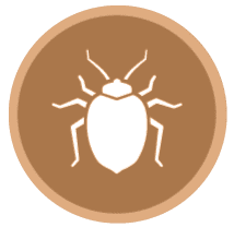 image-171466-icon1.png?1467367374518