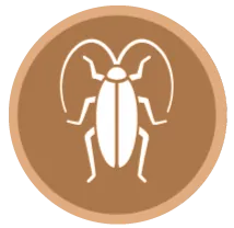 image-171466-icon1.png?1467367374518