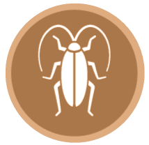 image-171466-icon1.png?1467367374518